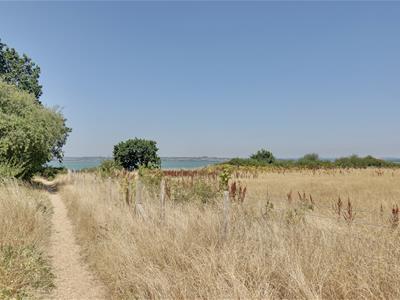Picture 22